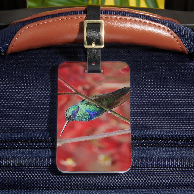 Iridescent Shine Luggage Tag (Front Insitu 2)