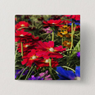 Iridescent Spring Button