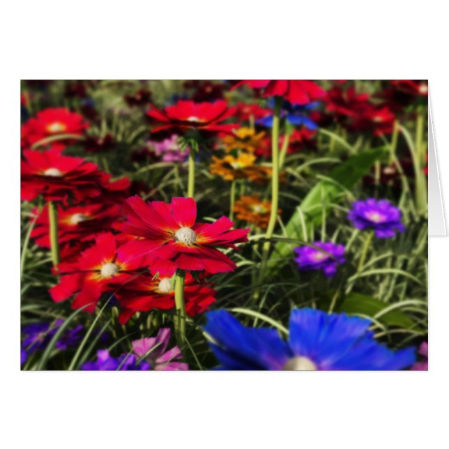 Iridescent Spring Card (Front Horizontal)