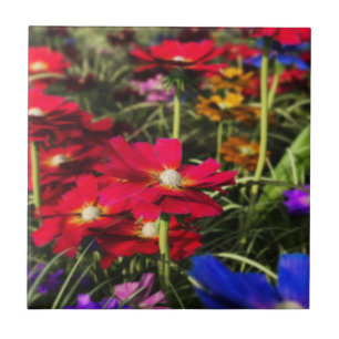 Iridescent Spring Decorative Tile