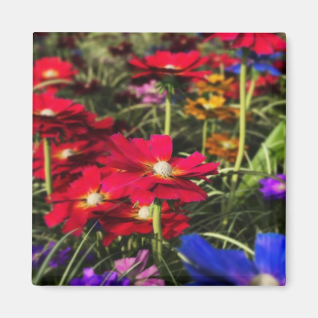 Iridescent Spring Magnet (Front)