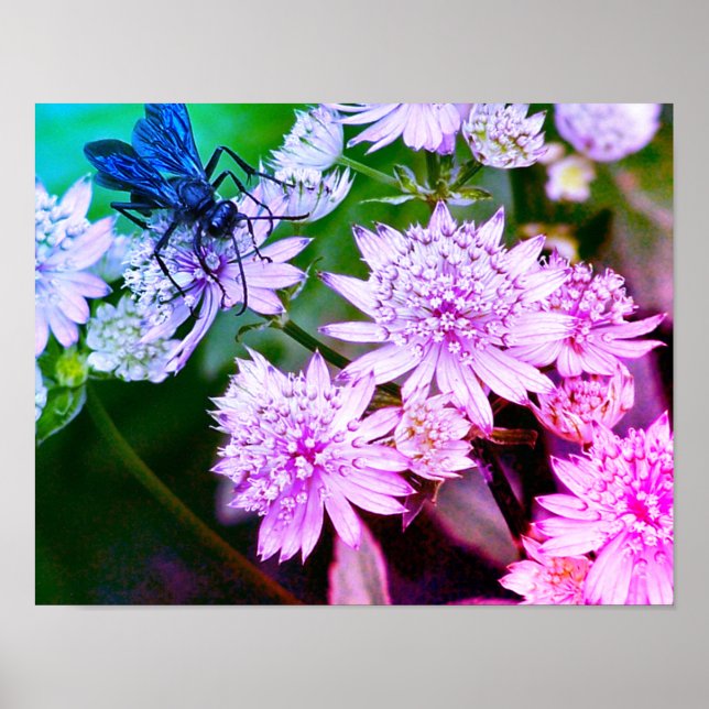 Iridescent Wasp On Flowers Abstract Colours Poster (Front)