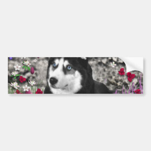 Irie the Siberian Husky in Flowers Bumper Sticker