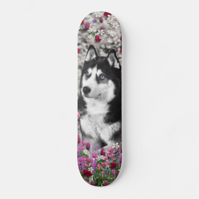 Irie the Siberian Husky in Flowers Skateboard (Front)