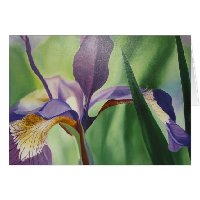 Iris (Front Horizontal)