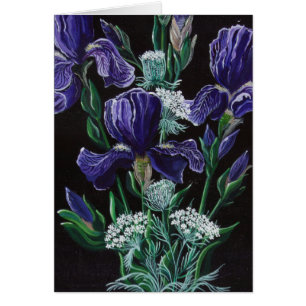 Iris