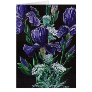 Iris