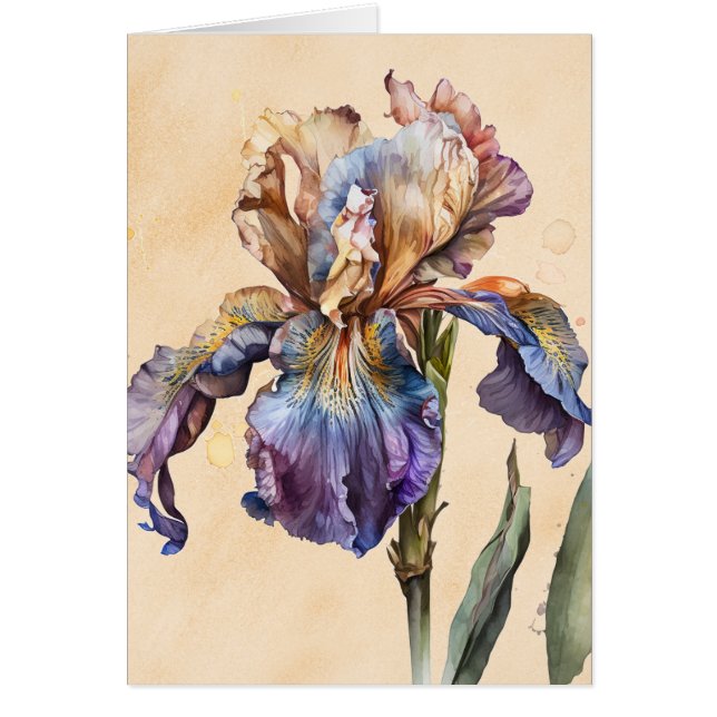Iris (Front)