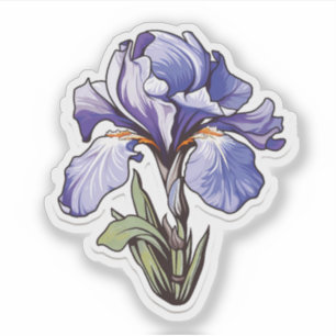 Iris
