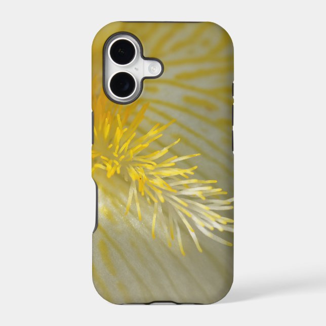 Iris! (Back)