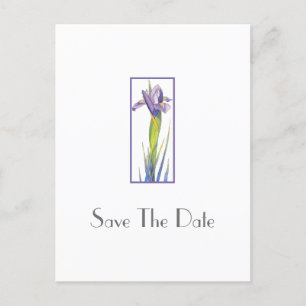 Iris 2 postcard