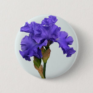 Iris 6622 Button