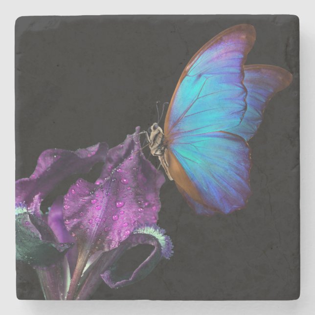 Iris and Butterfly Stone Coaster (Front)