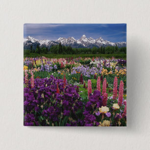 Iris and Lupine garden and Teton Range, 15 Cm Square Badge