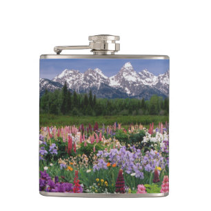 Iris and Lupine garden and Teton Range, Hip Flask