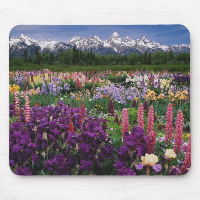 Iris and Lupine garden and Teton Range, Mouse Pad (Front)