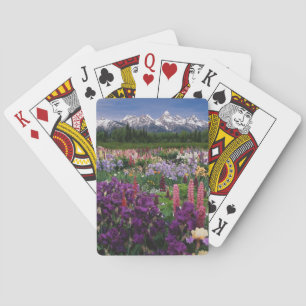 Iris and Lupine garden and Teton Range, Playing Cards