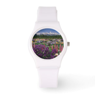 Iris and Lupine garden and Teton Range, Watch