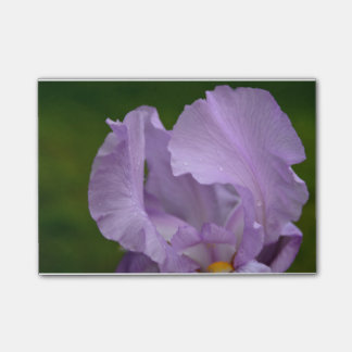 Iris Bliss Post-it Notes