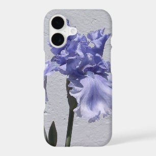 Iris Bloom