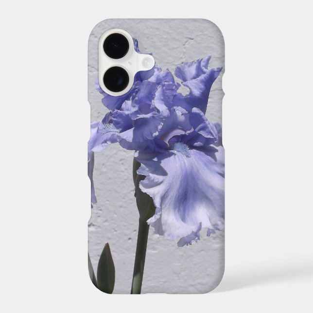 Iris Bloom (Back)