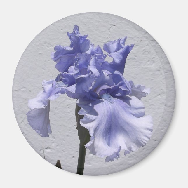 Iris Bloom Magnet (Front)