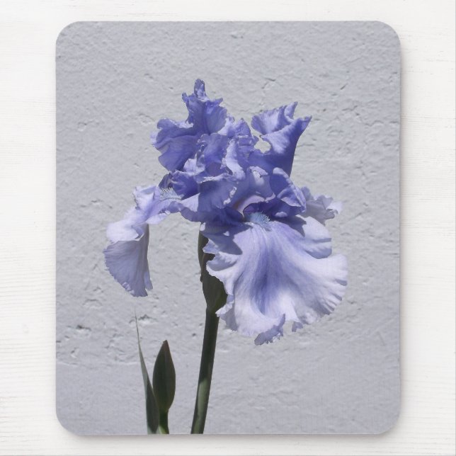 Iris Bloom Mouse Pad (Front)