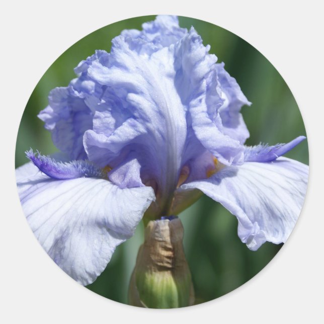 Iris-blue Classic Round Sticker (Front)