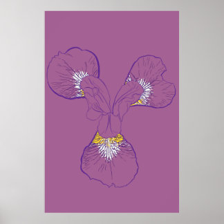 Iris Botanical Line Art Poster