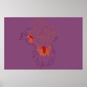 Iris Botanical Line Art Poster