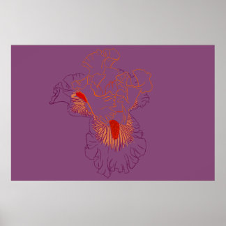 Iris Botanical Line Art Poster