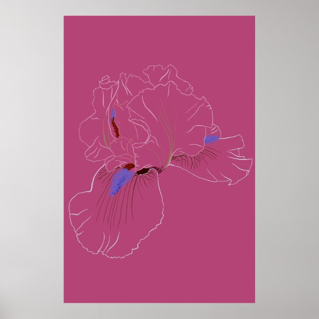 Iris Botanical Line Art Poster (Front)