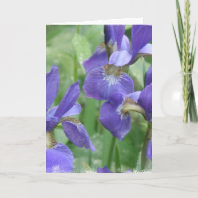 Iris Bulbs Greeting Card (Front)
