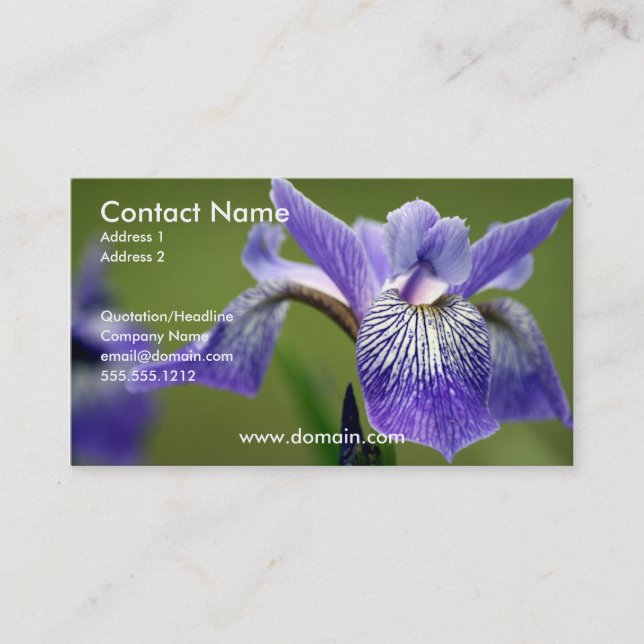 Iris Business Card (Front)