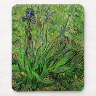 Iris by Vincent van Gogh, Vintage Garden Flowers Mouse Pad