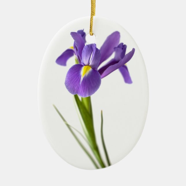 Iris Ceramic Tree Decoration (Front)