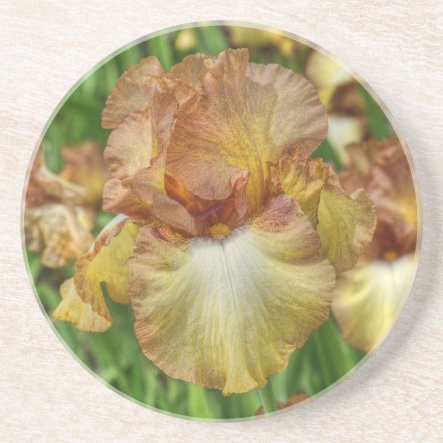iris coaster (Front)