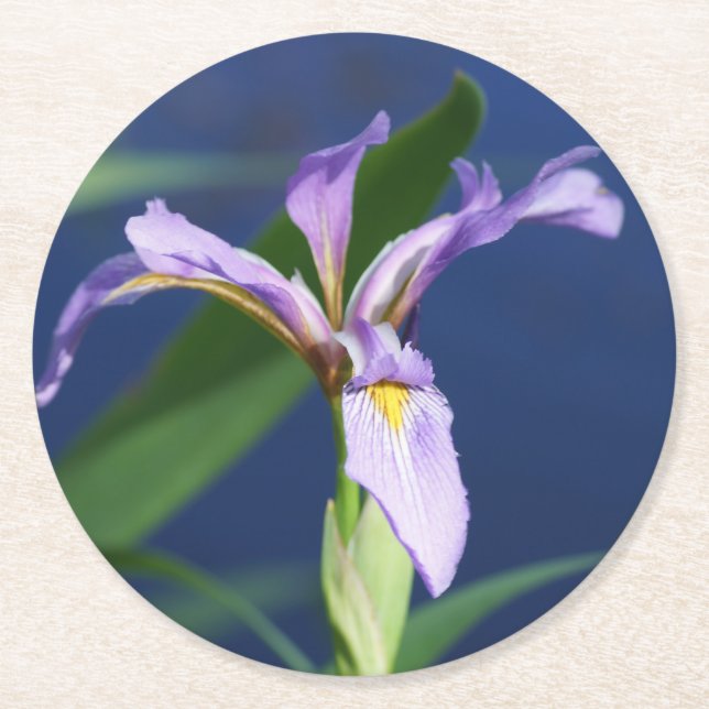 Iris Coasters pack of 6 (Front)