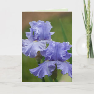 Iris Delight Card