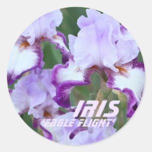 Iris‘Eagle Flight’ [Round Seal] ラウンドシール Classic Round Sticker