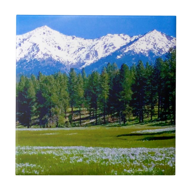 Iris Fields and the Elk Horn Mountains! Tile (Front)