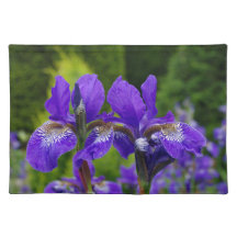 Iris floral photography