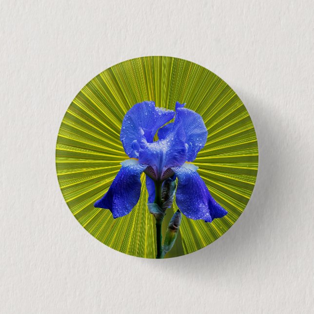Iris flower 3 cm round badge (Front)