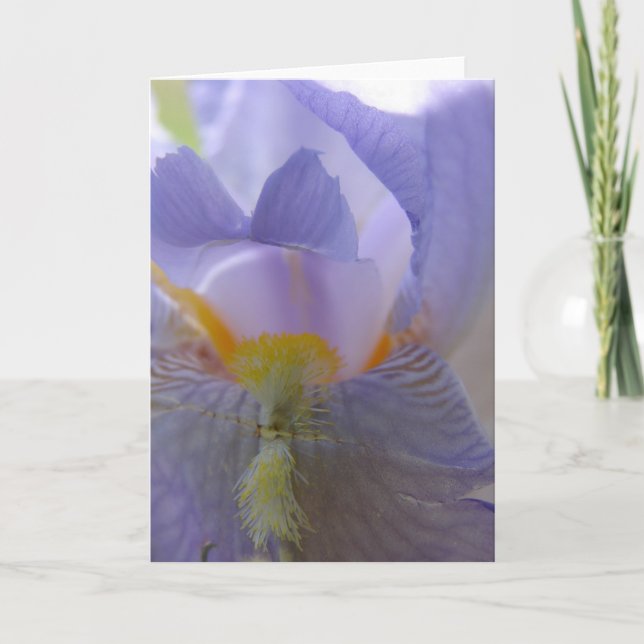 Iris Flower Blank Inside All Occasions Card (Front)