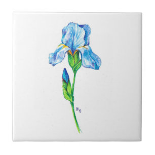 Iris flower ceramic tile
