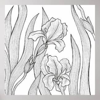 Iris flower designed with black ink poster