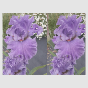 Iris Flower Flowers Purple Lavender Lilac Floral Tissue Paper
