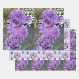 Iris Flower Flowers Purple Lavender Lilac Floral Wrapping Paper Sheet