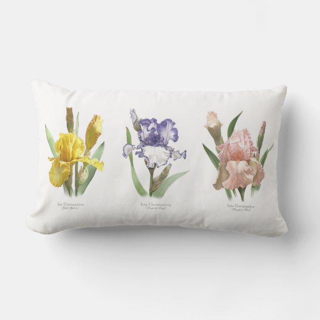 Iris Flower Garden Lumbar Cushion (Front)