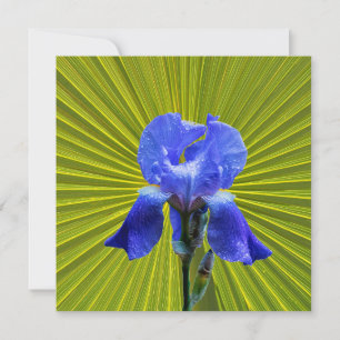 Iris flower holiday card